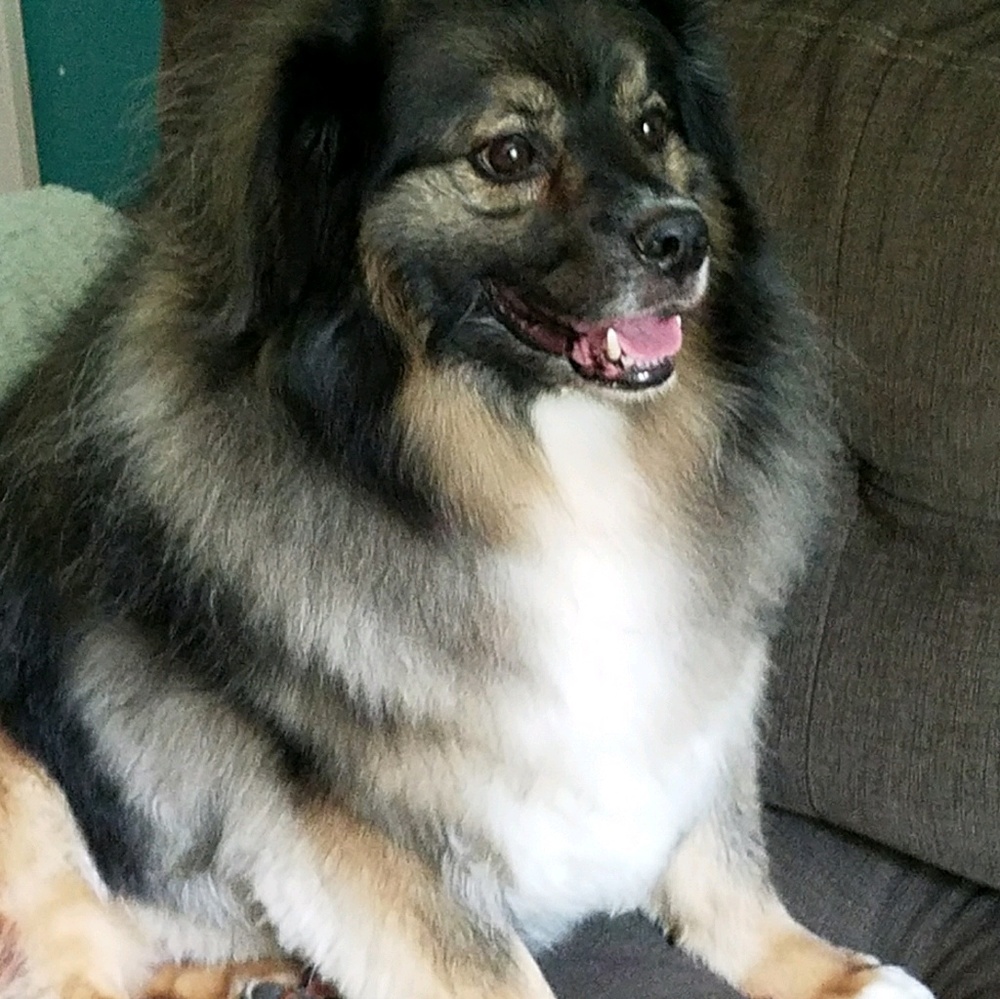 Meet your Posher, Lisa